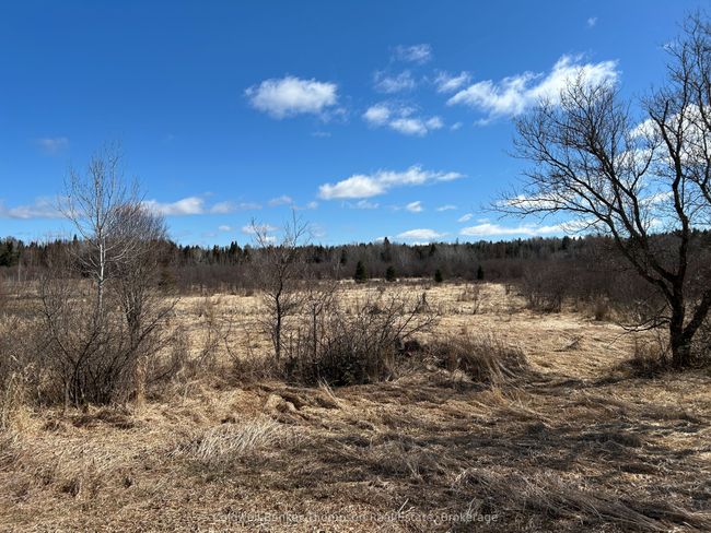 2904 Memorial Park Dr, Home with 0 bedrooms, 0 bathrooms and null parking in Powassan ON | Image 11