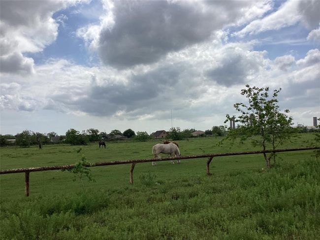 racetrack | Image 32