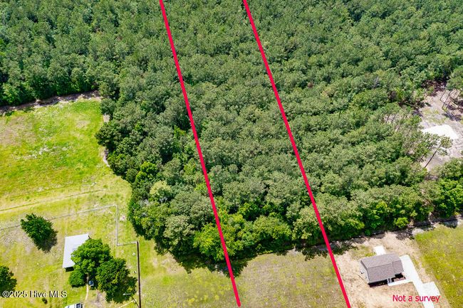 2 - 6650 Neuse Rd, Home with 0 bedrooms, 0 bathrooms and null parking in Grantsboro NC | Image 4