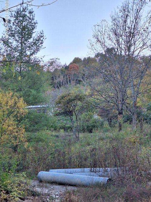 8430 Ky Highway 47, Sanders, KY, 41083 | Card Image