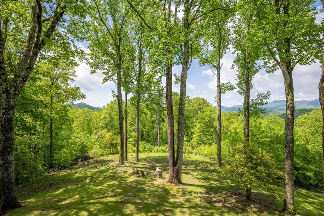 25 Hurrah Rdg, House other with 6 bedrooms, 7 bathrooms and null parking in Scaly Mountain NC | Image 60