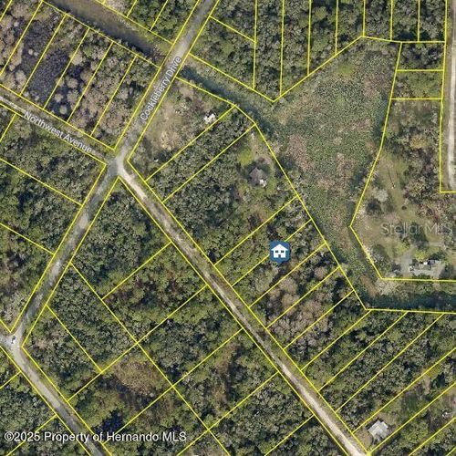 lOT 7 Northwest Ave, Webster, FL, 33597 | Card Image