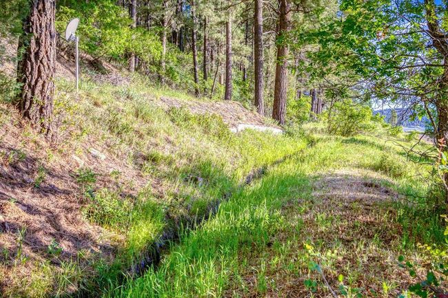 201 Pineview Rd, Home with 0 bedrooms, 0 bathrooms and null parking in Pagosa Springs CO | Image 9