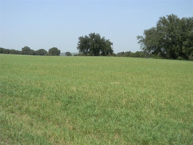 Plenty of area for building your home and still having room to play | Image 5