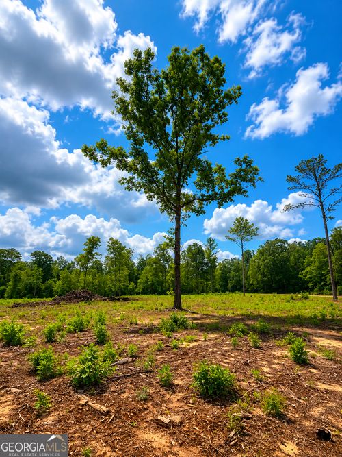 1-0 White Rd, Pine Mountain, GA, 31822 | Card Image