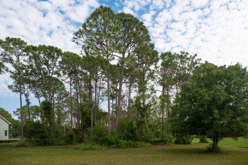 10638 Sugar Pine Dr, Fort Pierce, FL, 34945-3003 | Card Image