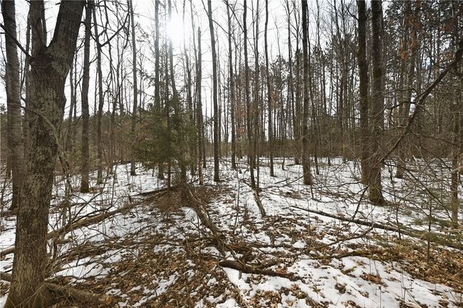 0 1 St St, Home with 0 bedrooms, 0 bathrooms and null parking in TREGO WI | Image 32