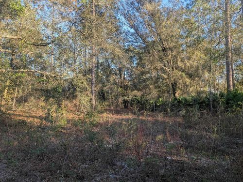 10300 Mcmahon Ave, Hastings, FL, 32145-4545 | Card Image