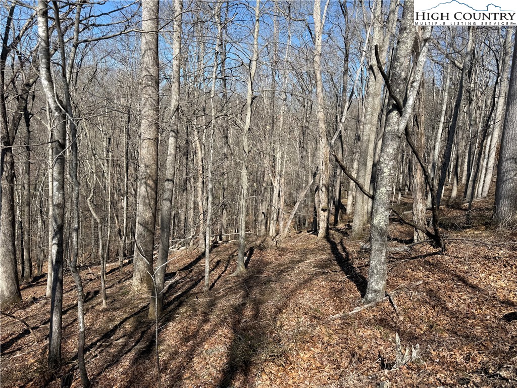 Land in Piney Creek 4