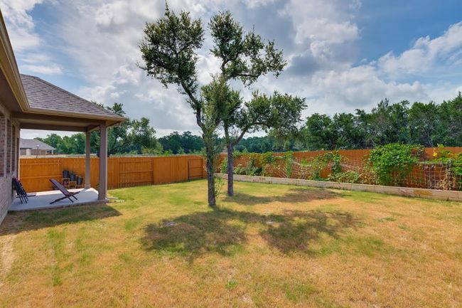 View of yard featuring a patio area | Image 36