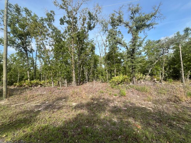 1321 W Dolores Dr, Home with 0 bedrooms, 0 bathrooms and null parking in Citrus Springs FL | Image 6