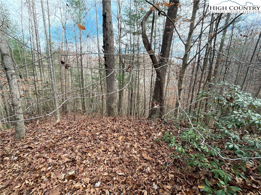 Land in Lenoir 3
