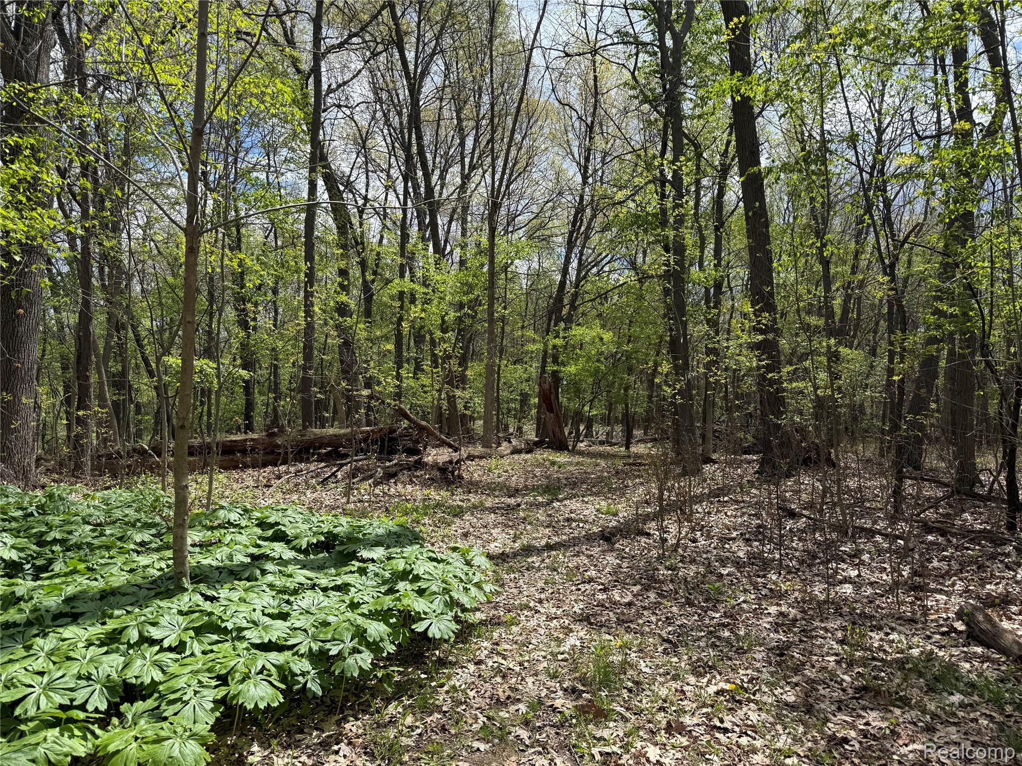 Land in Tyrone Township