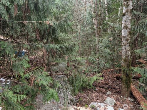 64062 Cascade River Rd, Marblemount, WA, 98267-9797 | Card Image