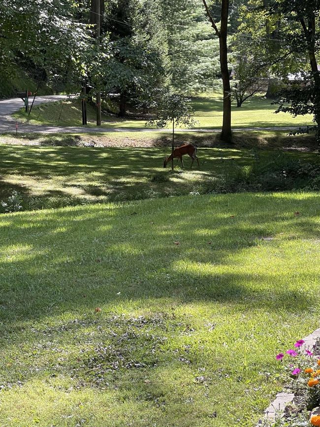 9072 Walnut Dowler Rd, House other with 2 bedrooms, 2 bathrooms and null parking in Logan OH | Image 29
