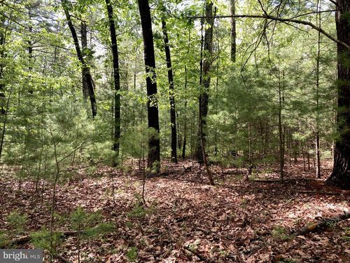 L7 Quaker Woods Ln, Capon Bridge, WV, 26711 | Card Image