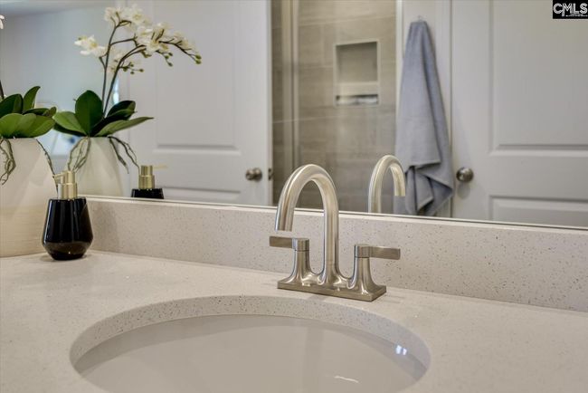 330 Chapin Place Way, House other with 6 bedrooms, 5 bathrooms and null parking in Chapin SC | Image 39