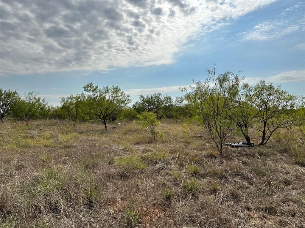 19199 County Road 341, For Sale In Abilene - Zoocasa