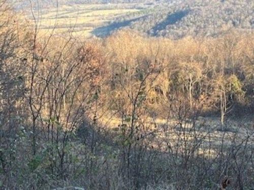 000 Cooper Point Dr, Mountain View, AR, 72560 | Card Image