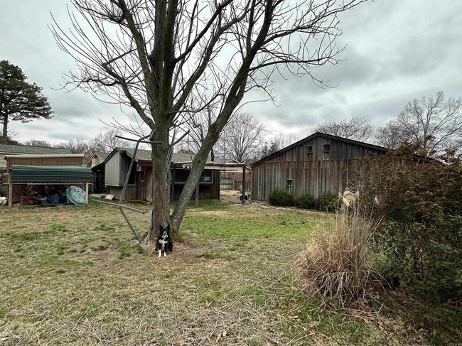 2003 Beumer St, House other with 3 bedrooms, 2 bathrooms and null parking in Stuttgart AR | Image 20