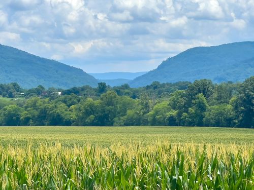 525 Ob Davis Rd, Delano, TN, 37325-5051 | Card Image