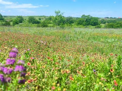 Lot69 Greenwood Road, Home with 0 bedrooms, 0 bathrooms and null parking in Comanche TX | Image 1