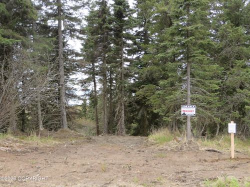 L1 Sterling Hwy, Clam Gulch, AK, 99568 | Card Image