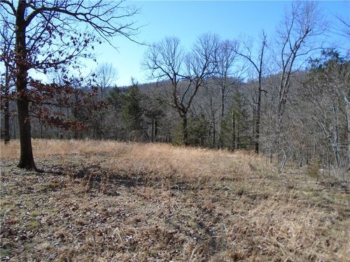 1 Mc 8041, Yellville, AR, 72687 | Card Image