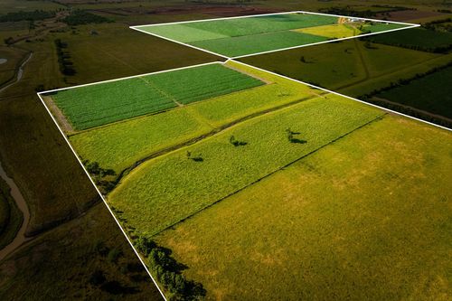 1923 Beasley West End Rd, Beasley, TX, 77417-9729 | Card Image