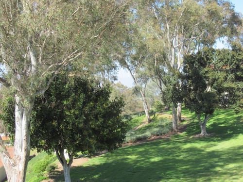 2a-5370 Punta Alta, Laguna Woods, CA, 92637-2579 | Card Image