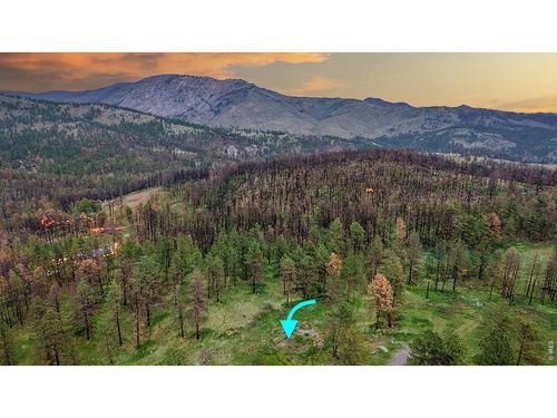 179 Green Ridge Rd, Drake, CO, 80515 | Card Image