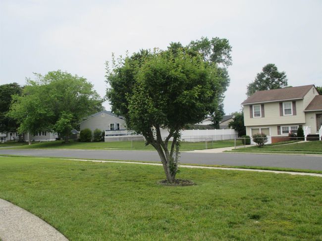 236 Roseann Ave, House other with 3 bedrooms, 2 bathrooms and 1 parking in North Cape May NJ | Image 33