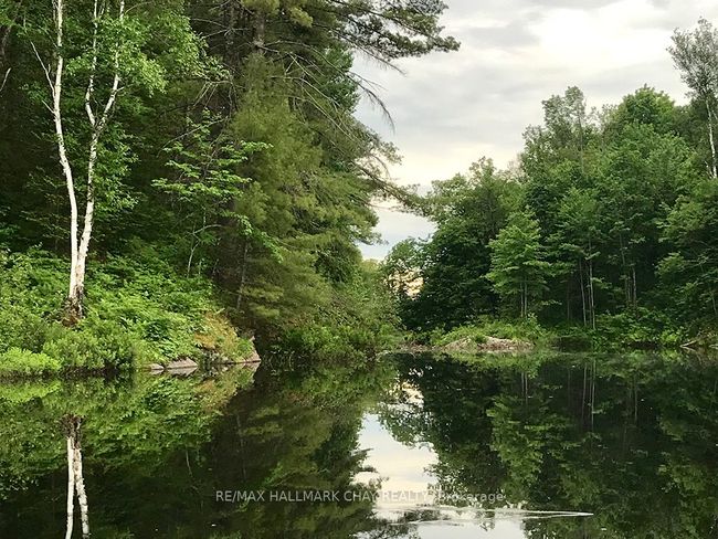 1133 Fire Route A1, Home with 0 bedrooms, 0 bathrooms and 4 parking in Gravenhurst ON | Image 20