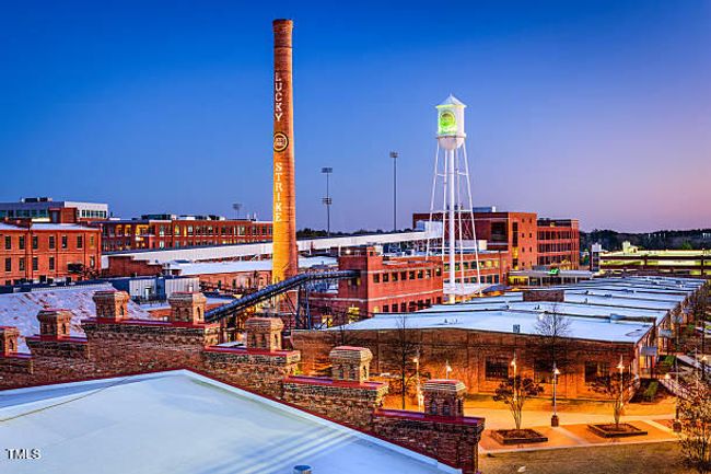 Nearby Durham Bulls Area copy | Image 25