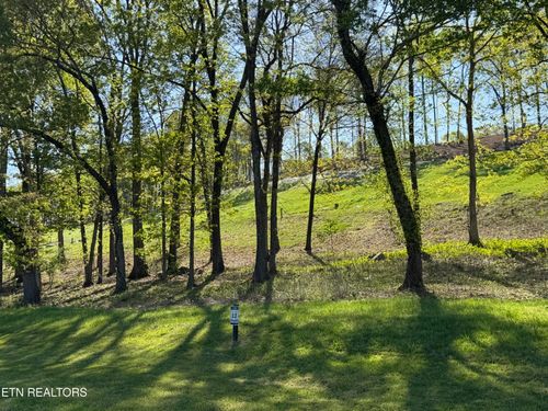 1031 Black Cove Ln, Loudon, TN, 37774 | Card Image