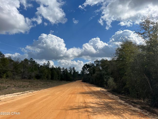 Lot 10 Laurel Dr, Home with 0 bedrooms, 0 bathrooms and null parking in Alford FL | Image 4