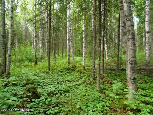 1801 N Claudia Rd, Wasilla, AK, 99623-0684 | Card Image