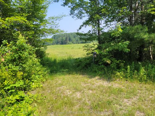 PT LT 12, & 13 CON 12 Vaughan Road, Papineau Cameron, ON, P0H1V0 | Card Image