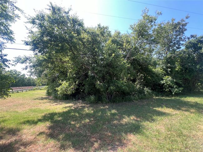 508 E 8 Th St, Home with 0 bedrooms, 0 bathrooms and null parking in Cisco TX | Image 23
