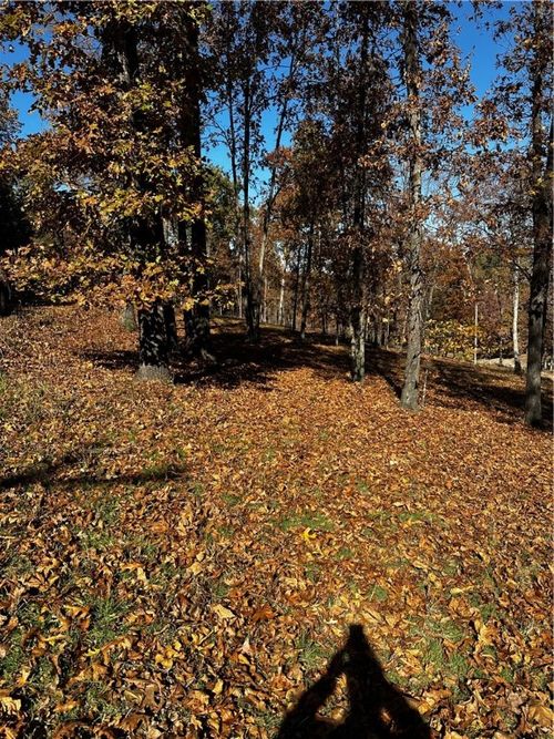 106 E Robin Rd, Rogers, AR, 72756 | Card Image