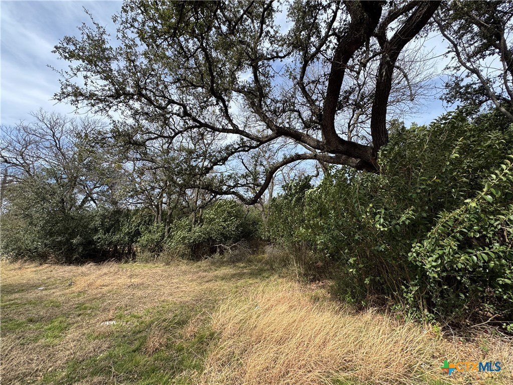 Land in Belton 2