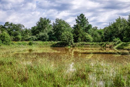 9808 Fm 908, Caldwell, TX, 77836 | Card Image