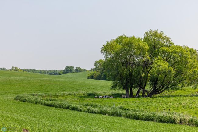 Amdak__Fosston MN - Land_0013.jpg | Image 14
