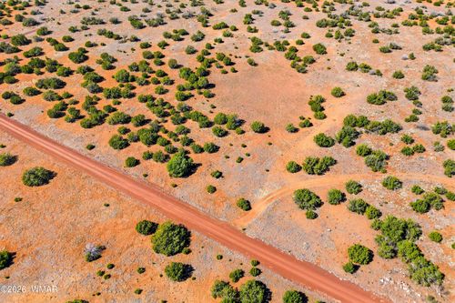 8085 County Rd, Concho, AZ, 85924 | Card Image