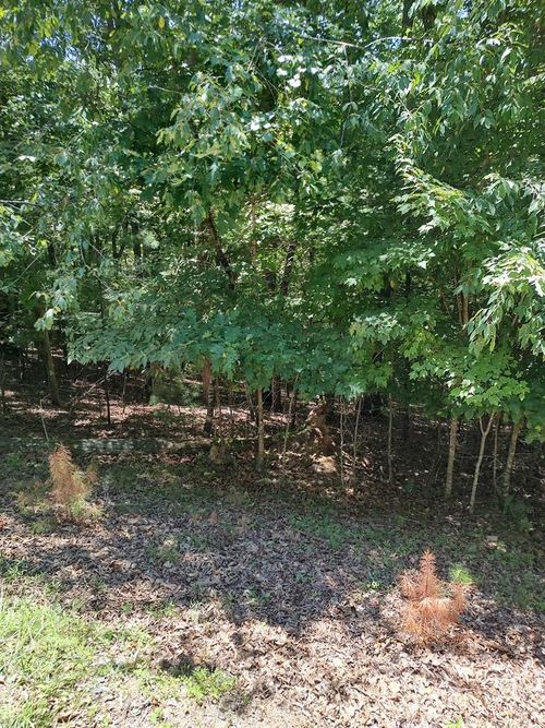 Lot 853 Matrix Ln, ELLIJAY, GA, 30540 | Card Image