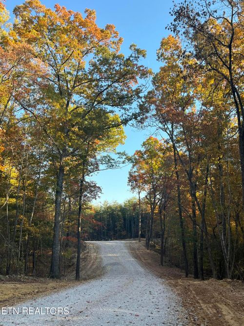 111 Cherokee Path, Tellico Plains, TN, 37385 | Card Image