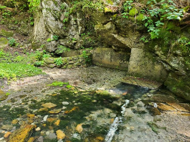 61243 Stone Cave Loop, Home with 0 bedrooms, 0 bathrooms and null parking in Dunlap TN | Image 39