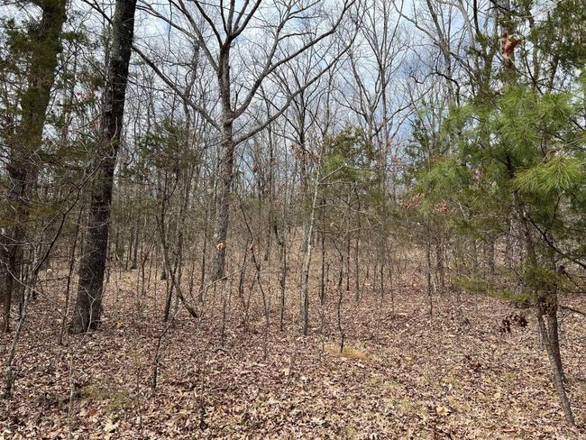 00 Yates Ln, Home with 0 bedrooms, 0 bathrooms and null parking in Tumbling Shoals AR | Image 17