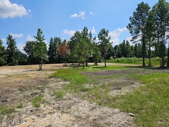 210 Memory Ln, Home with 0 bedrooms, 0 bathrooms and null parking in Burgaw NC | Image 7