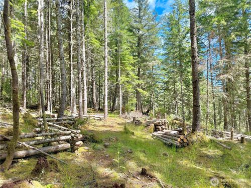 0 Lot B Pioneer Hill Rd, Olga, WA, 98279 | Card Image